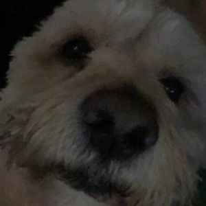 Meet your Posher, Roxanne